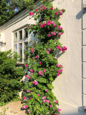 Borregården - Grindstugan Borrby